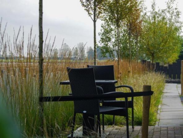Vakantiewoning De Schelp Ellemeet Exteriér fotografie