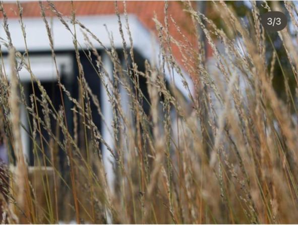 Vakantiewoning De Schelp Ellemeet Exteriér fotografie