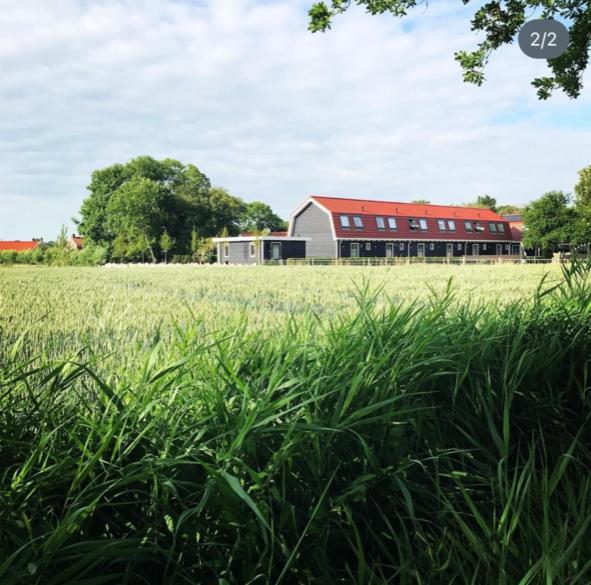 Vakantiewoning De Schelp Ellemeet Exteriér fotografie