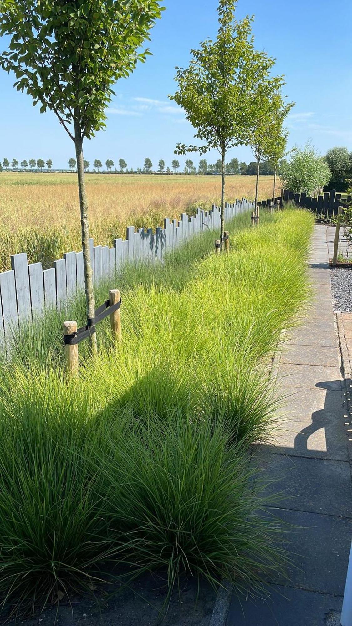 Vakantiewoning De Schelp Ellemeet Exteriér fotografie
